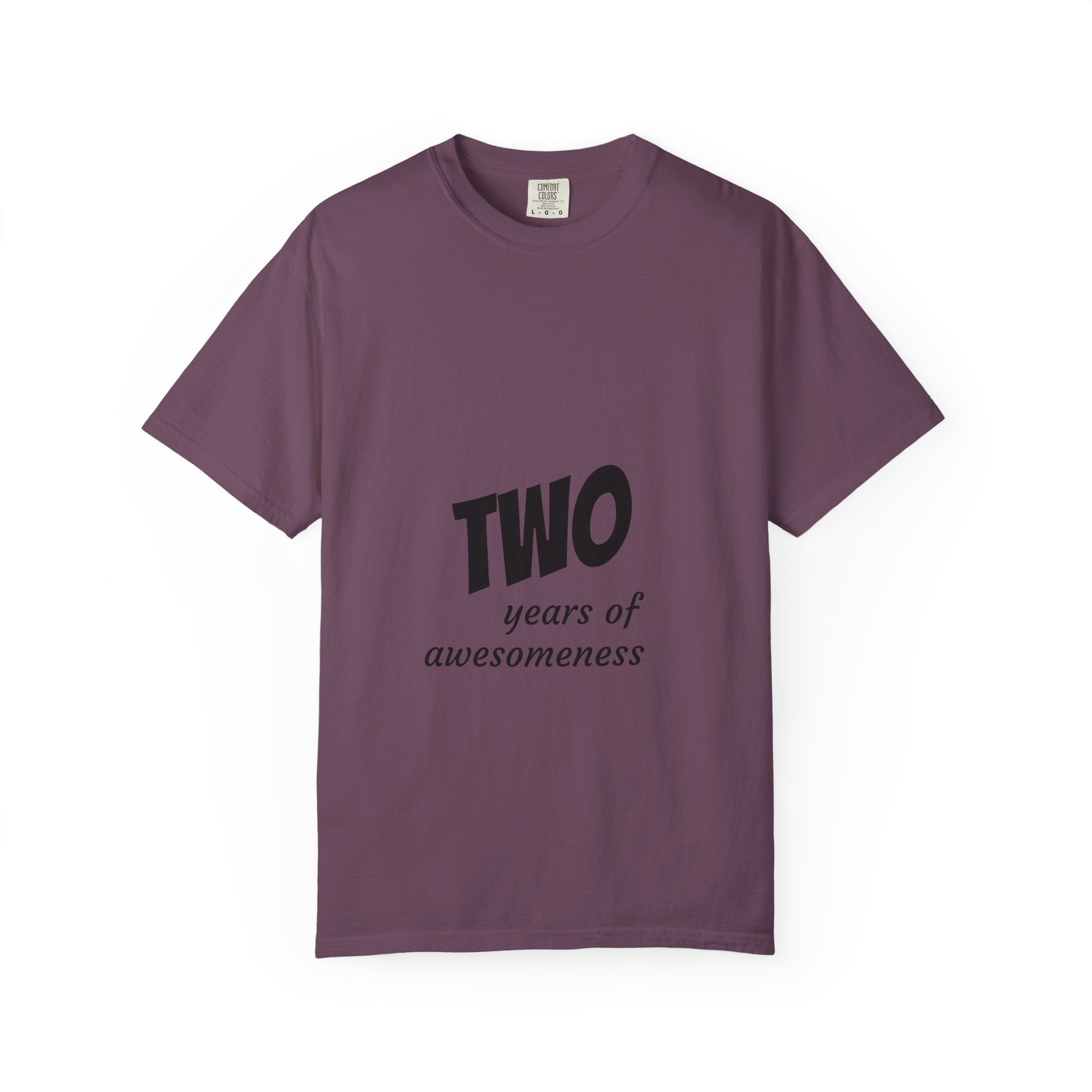 T-Shirt — "TWO years of awesomeness" Anniversary Tee with "Knowledge Powered by Google" Back Design